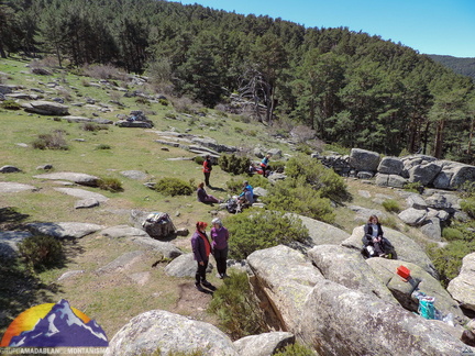 Abedular Canencia 22