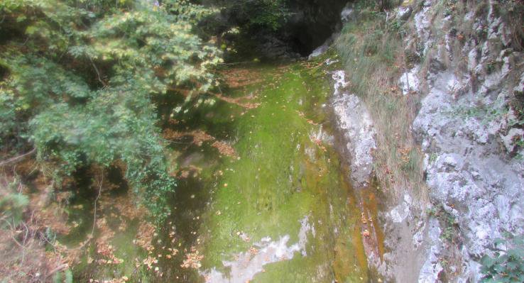 CIRCULAR DE PONGA