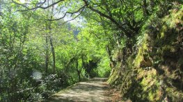 Ruta del Alba